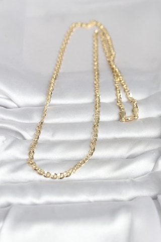 Cm 14k Gold Renk Yassı Oval Zincirli Model 60 Cm Kadın Kolye Diğer