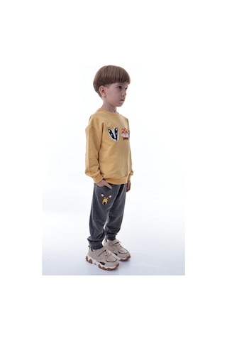 Erkek Çocuk Hayvan Figürlü Sarı Sweatshirt Ve Gri Eşofman Takımı Yumuşak Kumaş, Rahat Kalıp Takım Sarı