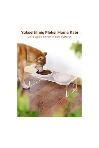 2'li Seramik Dekoratif Kedi Ve Köpek Pleksi Mama & Su Kabı Paspas