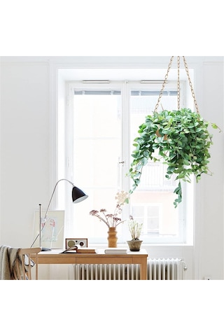 Drenajlı Altın Askılı Saksı, Yarım Daire Askılı Bitki Tutucu