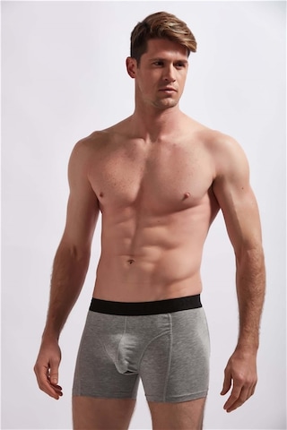 Josejuan 3'Lü Erkek Boxer Koton Likralı Bel Yazılı Lastik 1003-Gri Melanj - Bordo - Indigo