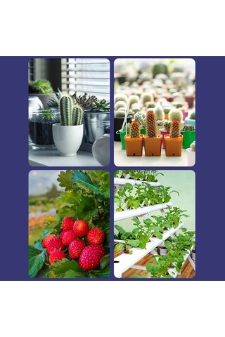 Reedark Bitki Büyüme Lambası - Kırmızı & Mavi Led Işık İle Hızlı Bitki Gelişimi 220v Diğer