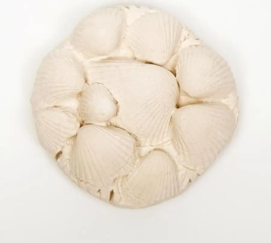 Kırmızı Yanaklı Tatlı Su Kaplumbağaları İçin Mineral Taş, Vitaminler 35490673