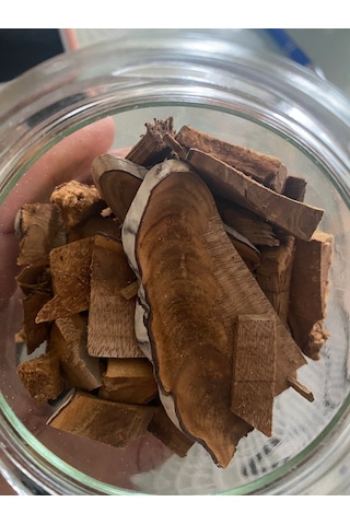 Kav Mantarı 500 gr