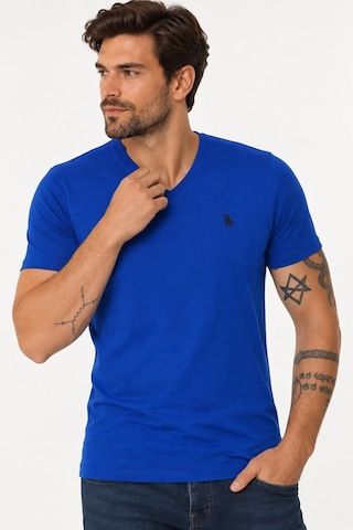 T9568 Dewberry V Yaka Erkek T-shırt-saks Mavisi