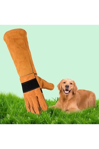 Trendooze Homyl Hayvan Eldivenleri, Anti-çizme, Dayanıklı