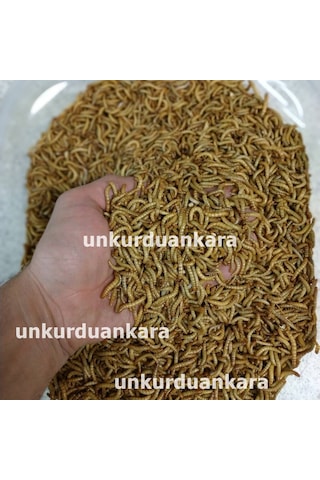 Un Kurdu 100 Gram