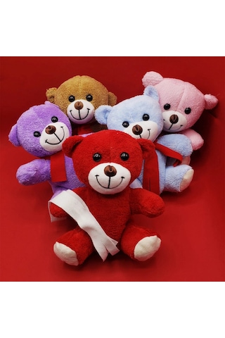 Ayıcık Yumuşak Dokulu Kaliteli 23 Cm Atkılı Hediye Oyuncak Sevimli Figür Estetik Renkli Peluş Ayıcı