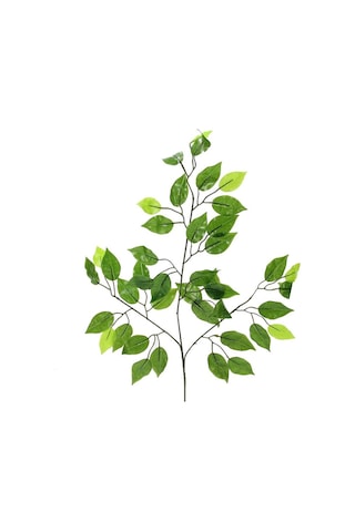 Yapay Ficus Benjamin Ağaç Dalı Parlak
