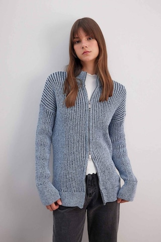 DeFacto Regular Fit Dik Yaka Fermuarlı Triko Hırka C3696AX24SPNV207 Lacivert