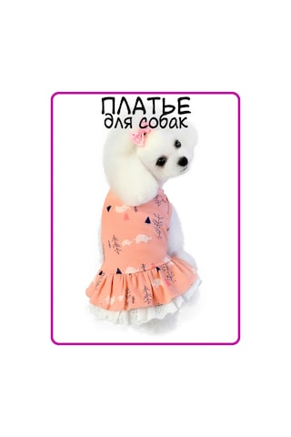 Best Golden Monkey Köpekler İçin Mercan Elbise 171019675