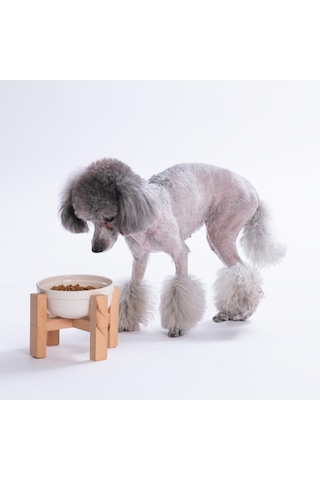 Beyaz Ahşap Standlı Seramik Mama/ Su Kabı Kedi Köpek Mama Su Kabı