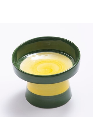 Eğimli Yüksek Seramik Mama Kabı 350 Ml- Yeşil Sarı Desen