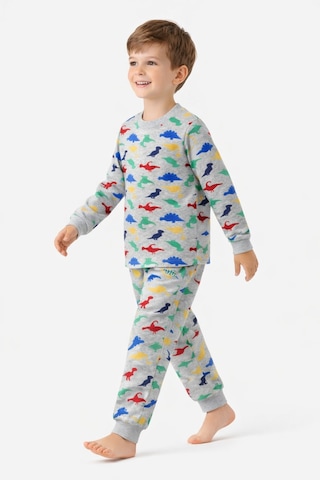 Free Beka Sevimli Dinazor Desenli Bisiklet Yaka Çocuk Uzun Kollu Pamuklu Alt Üst Pijama Takımı Gri