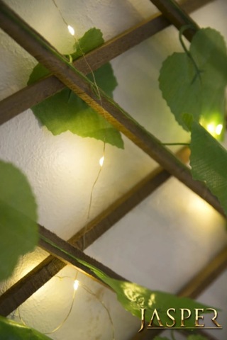 Jasper Yapay Çit Akardiyon 120cmx3m Ve 5 Mt Peri Ledli Sarmaşık Bahçe Dekoru