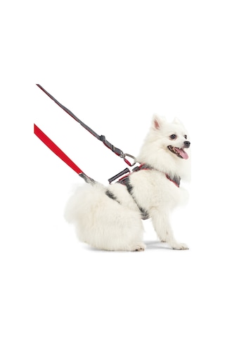 Interlaken Earthtech Slim 3.0 Köpek Göğüs Tasması Gri - Kırmızı XL Gri - Kırmızı