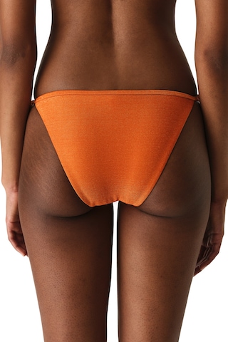 Penti Turuncu Dorothy Bikini Bikini Altı