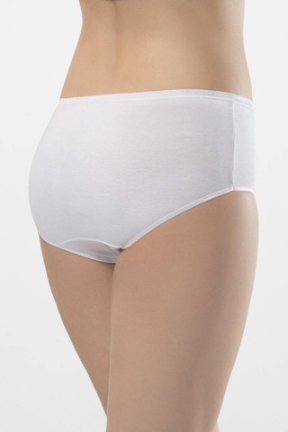 Türen Kadın Ribanalı Dikişsiz 2li Pamuklu Bikini Külot 001