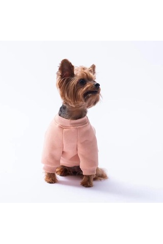 Pawstar Pembe Dublin Hopper Polarlı Küçük Irk Köpek Sweatshirtü