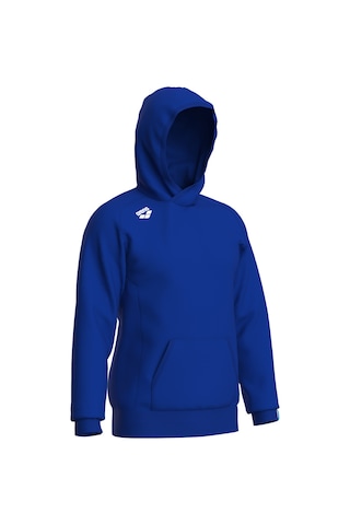 Arena Team Hooded Sweat Panel Unusex Kapşonlu Mavi