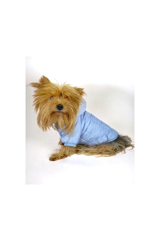 Baby Blue Comfy Köpek Montu, Köpek Ceketi, Köpek Dış Giyim