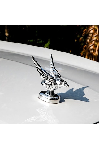 Sones Araba Kaputu Dekorasyonu 3d Yayılmış Kanatlar Uçan Kartal Modifikasyonu Evrensel Araç Amblemi Gümüş