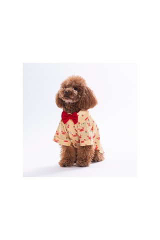 Coral Charm Kedi Köpek Gömleği - Kedi Köpek Kıyafeti-kedi Gömlek-köpek Gömlek