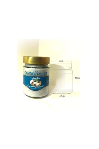 Hindistan Cevizi Kokulu Mum (450Gr)