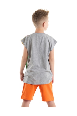 Denokids Mshb&g T-Rex Alev Erkek Çocuk T-Shirt Şort Takım Çok Renkli