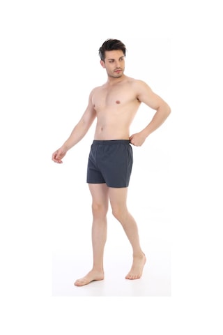 Çift Kaplan Erkek Penye Füme Boxer 805 Füme