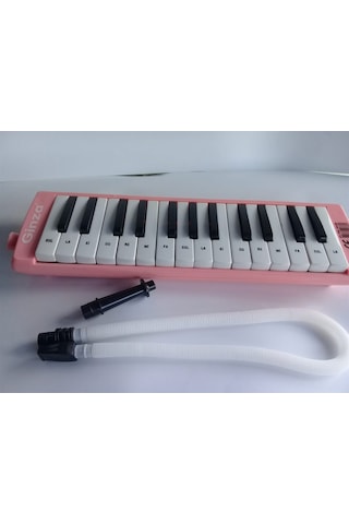 Ginza Gn-209 27K Melodika Pembe