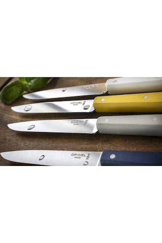 Opinel Bon Appetit Celeste 4 Parça Paslanmaz Sofra Bıçağı OP-002040 Çok Renkli