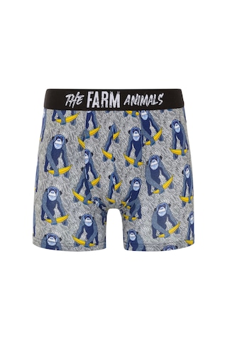 Farm Animals Monkey Banana Bue Desenli Boxer Çok Renkli