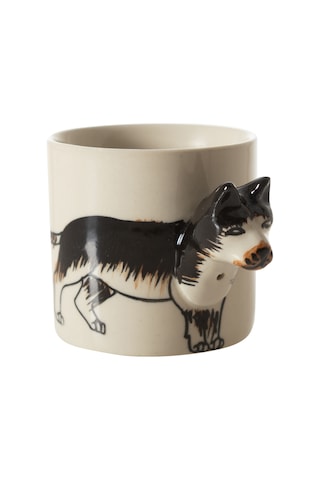 Mudo Home Dog Fincan 100 Ml Çok Renkli