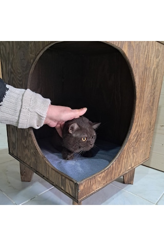 Dekoratif Ahşap Kedi Evi Ve Yan Sehpa