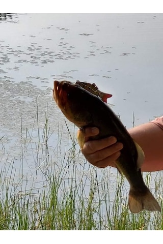 Valkyrie 8 Eklemli 3d Oynak Rapala 13 5gr Sahte Balık Yem Wobblers Swimbait Tuzlu Ve Tatlı Su