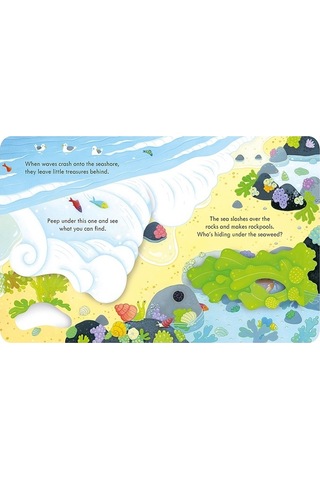 Peep Inside the Seashore- Usborne