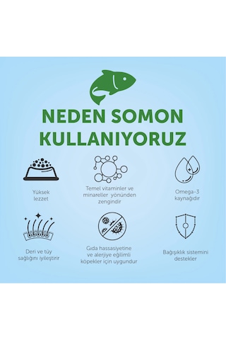 Nature's Protection Ekstra Somonlu Yetişkin Köpek Maması 18kg
