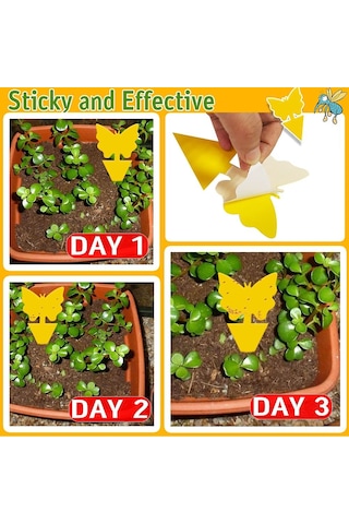 Ruicoo 12'li Paket Yapışkan Meyve Sineği Tuzağı - Ev Ve Bahçe Bitkileri İçin Çift Taraflı Böcek Yakalama