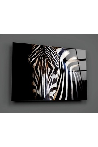 Zebra Cam Tablo