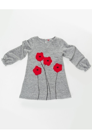 Denokids Mushi Poppy Elbise Çok Renkli