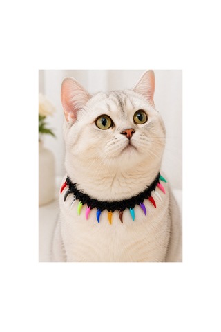 El Örgüsü Kedi Tasması Renkli Sarkıtlı Siyah El Yapımı Bağlamalı Kedi Boyun Aksesuarı