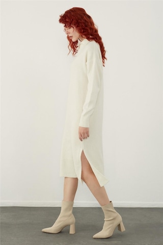 Sherin Ekru Polo Yaka Basic Midi Triko Elbise-ekru