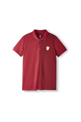 Gsstore Galatasaray Erkek Polo T-shirt E252103 Bordo