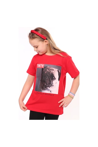 Toontoy Kids Toontoy Unisex Çocuk Önü Baskılı Tişört Mavi