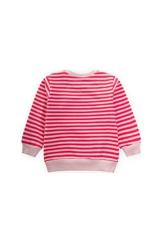 Çizgili Triko Sweatshirt 0-4 Yaş Pudra Mercan Pudra