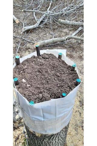 Gmt Blue-Guard Sıvı Aşı Macunu 1 Lt