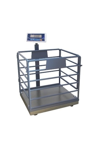 Hcw 600 KG x 200 Gr 80 x 90 Canlı Hayvan Baskülü Küçük Baş