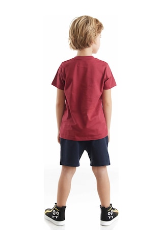Denokids Süper Güçlü Erkek Çocuk T-shirt Şort Takım Çok Renkli
