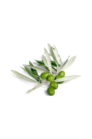 Sistemik Alınabilir Sıvı Bakır 20 KG